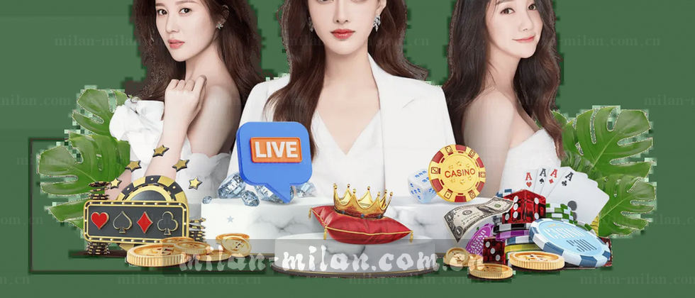 隐私声明与数据保护说明